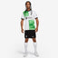 Camisa Nike Liverpool FC 2023/24 II Torcedor