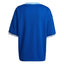 Camisa Argentina Icon