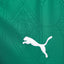 Camisa Palmeiras I 25/26 - Torcedor Feminina - Verde e Branco