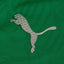 Camisa Palmeiras Treino 25/26 - Torcedor Masculina - Verde