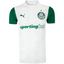 Camisa Palmeiras II 25/26 - Torcedor Masculina - Branca e Verde
