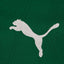 Camisa Palmeiras I 25/26 - Torcedor Masculina - Verde e Branco